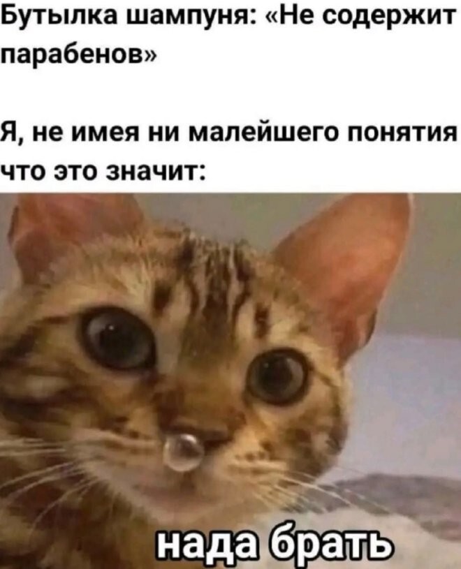 Смешные картинки