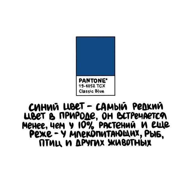 А вдруг ты не знал…