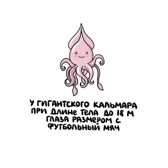А вдруг ты не знал…