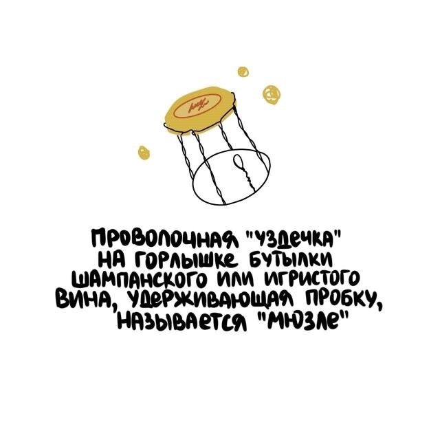 А вдруг ты не знал…