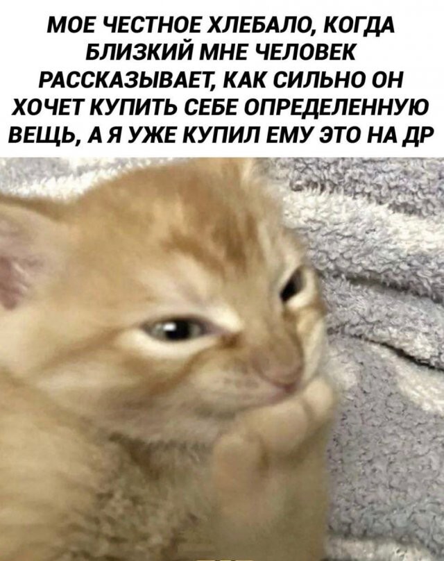 Не ищите здесь смысл. Здесь в основном маразм