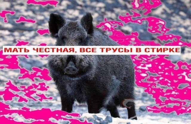 Не ищите здесь смысл. Здесь в основном маразм