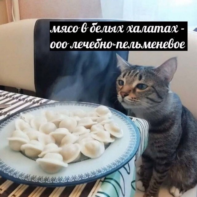 Не ищите здесь смысл. Здесь в основном маразм
