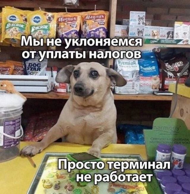 Скрины из соцсетей            