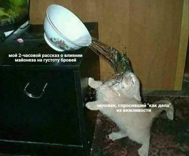 Скрины из соцсетей            
