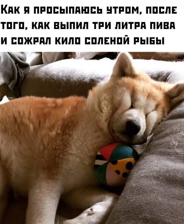 Скрины из соцсетей            