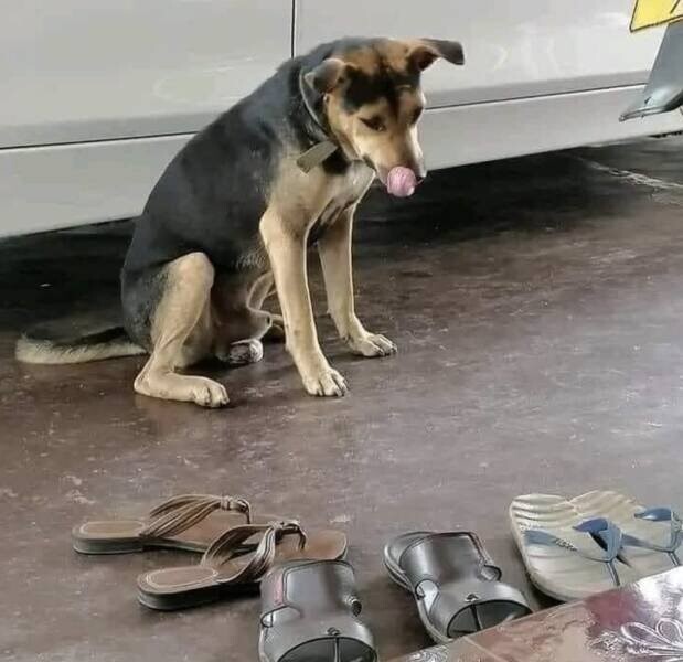  Намешалось 