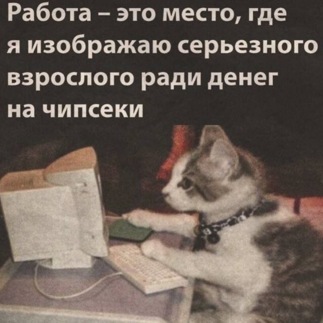 Не ищите здесь смысл. Здесь в основном маразм