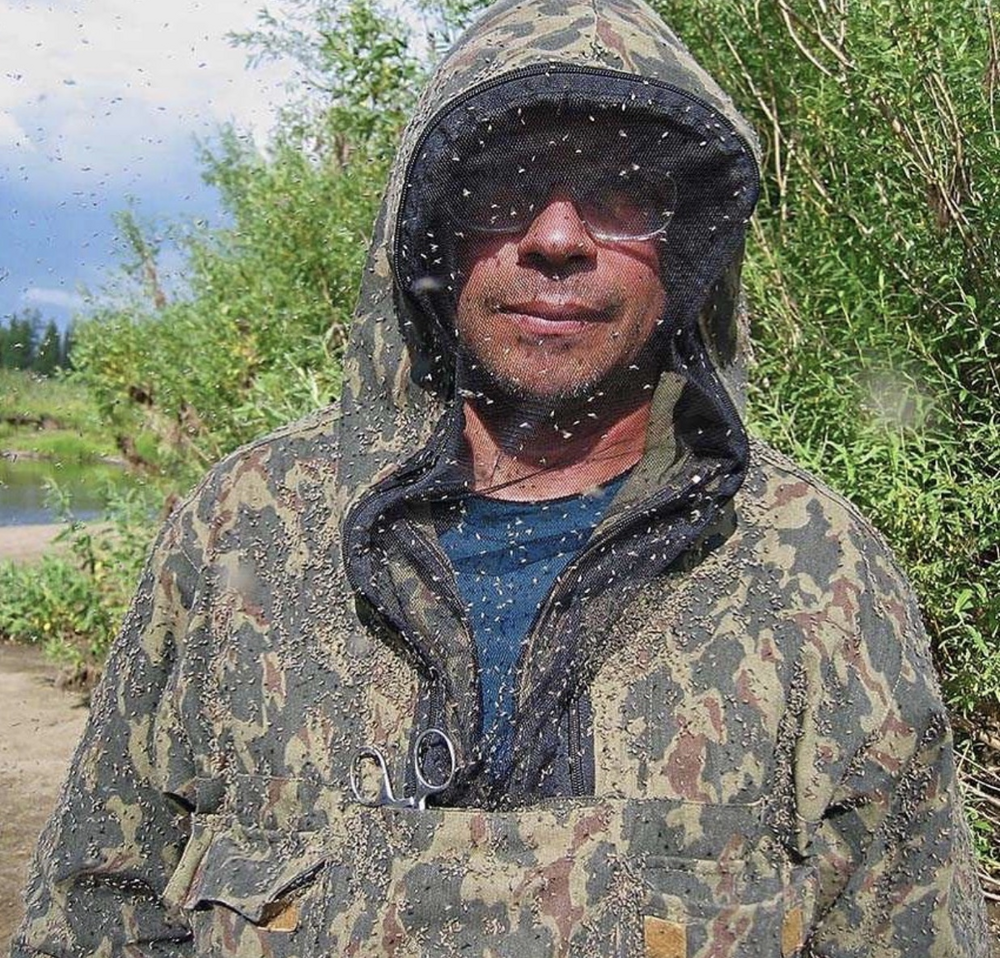 Почему на Севере так много комаров?