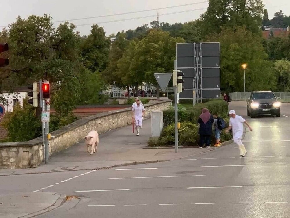 На общую тему 