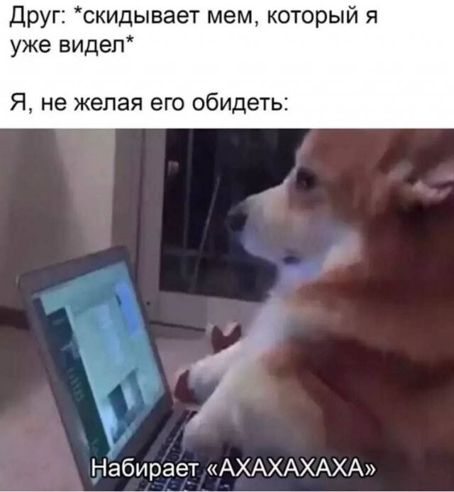 Скрины из соцсетей            
