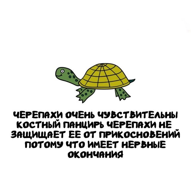 А вдруг ты не знал…