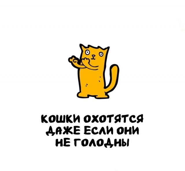 А вдруг ты не знал…