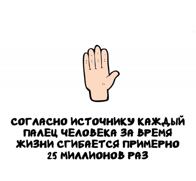 А вдруг ты не знал…