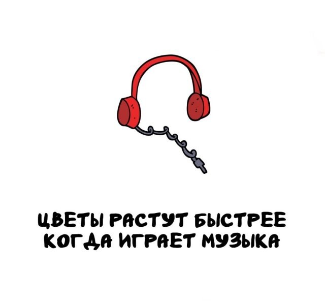 А вдруг ты не знал…