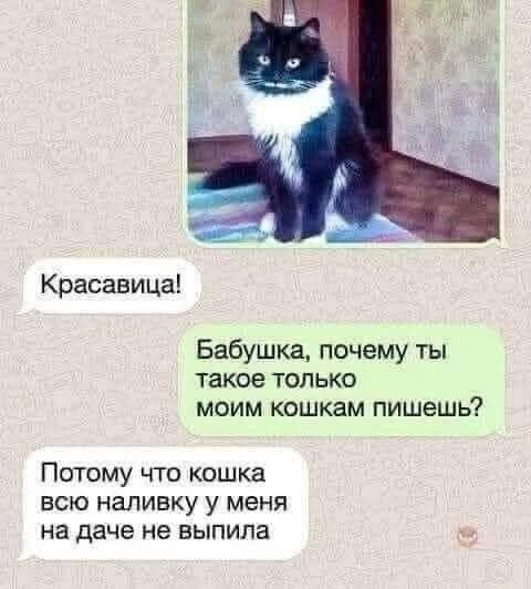 Не ищите здесь смысл. Здесь в основном маразм