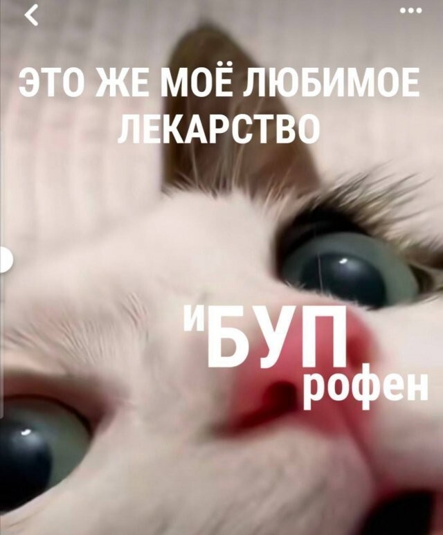 Не ищите здесь смысл. Здесь в основном маразм
