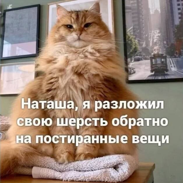 Не ищите здесь смысл. Здесь в основном маразм