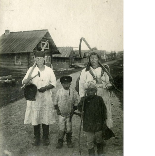 Вепсы