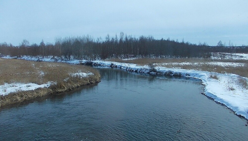 река Ижора