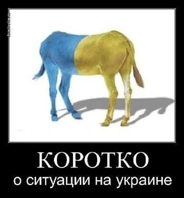 Лишь о политике