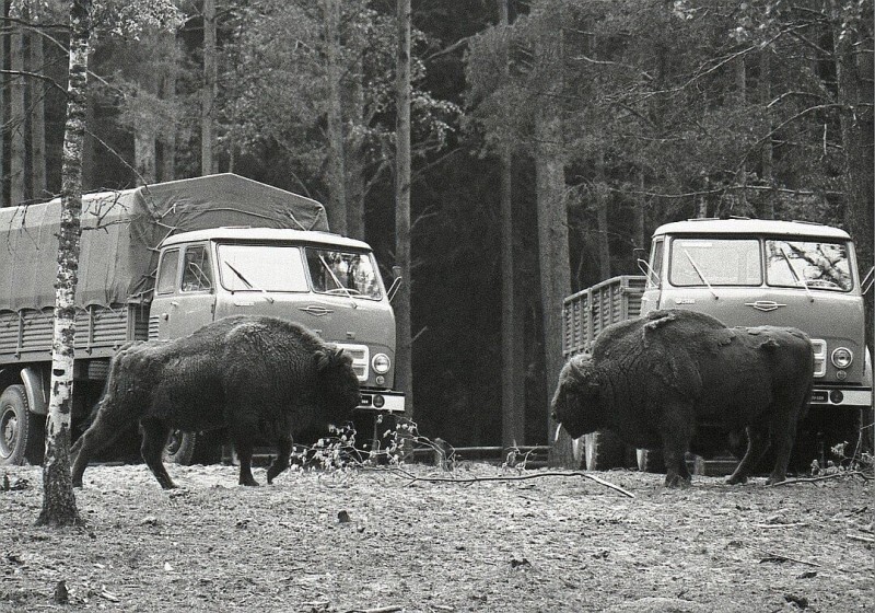 Интересные фотографии времен СССР