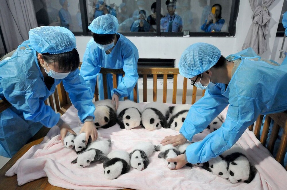 Фото-LIU JIN/AFP/Getty Images.