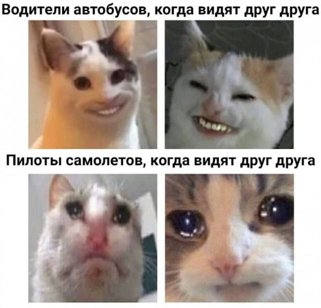 Скрины из соцсетей            