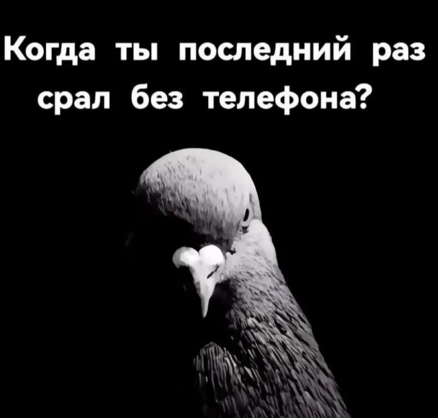 Скрины из соцсетей            