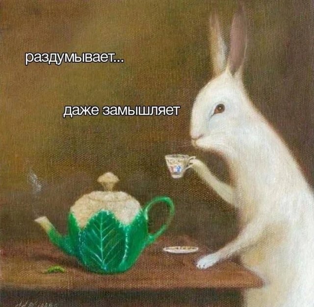 Скрины из соцсетей            