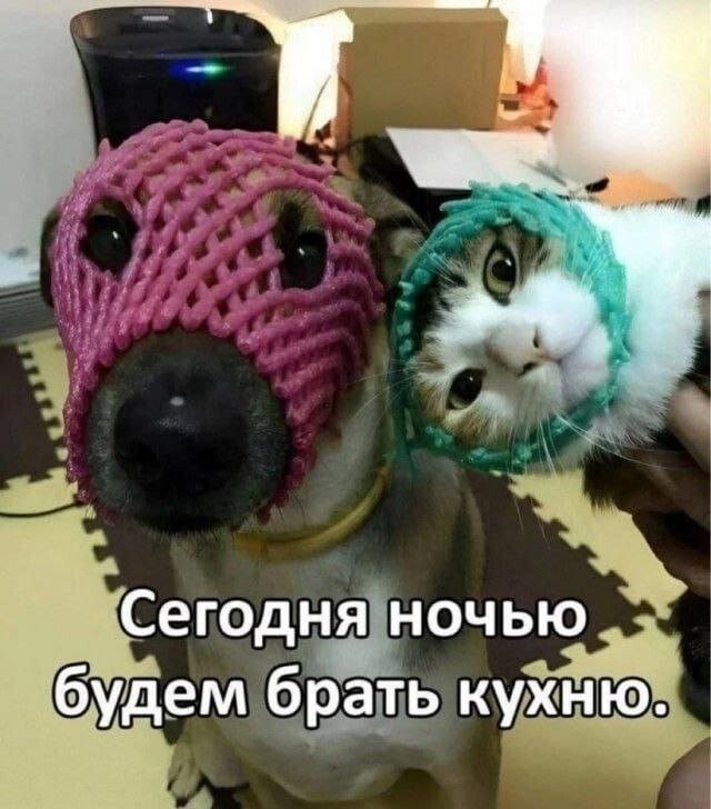 Скрины из соцсетей            