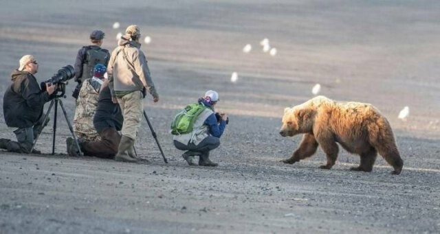 Намешалось