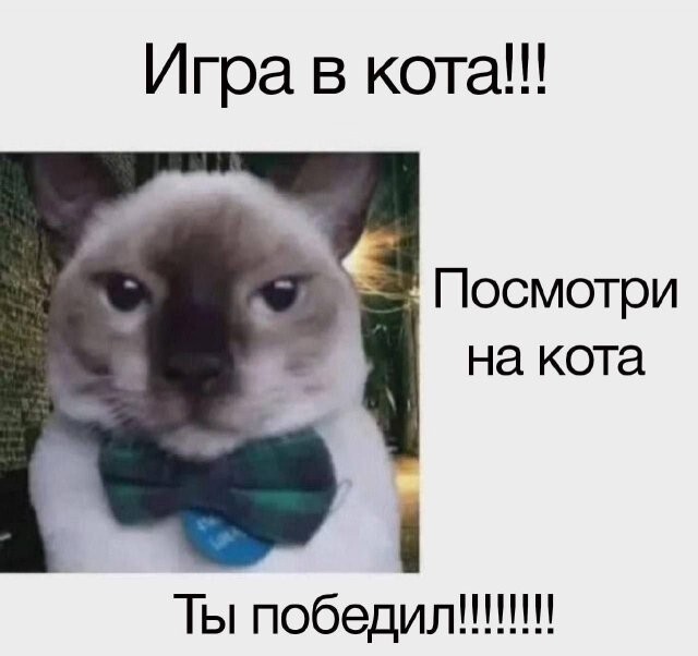 Не ищите здесь смысл. Здесь в основном маразм