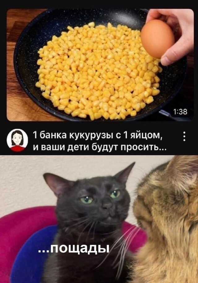 Не ищите здесь смысл. Здесь в основном маразм