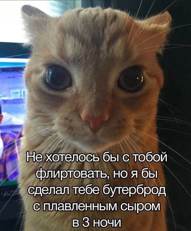 Не ищите здесь смысл. Здесь в основном маразм