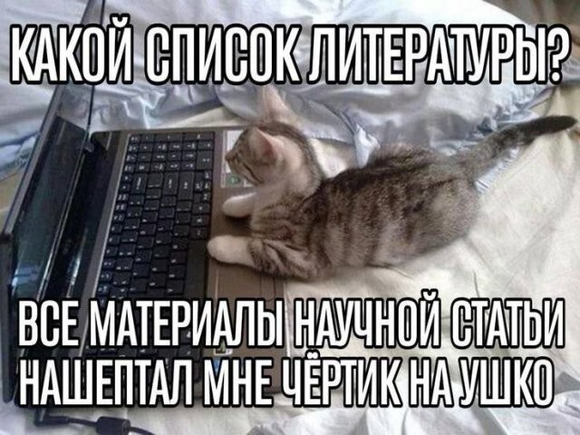 Не ищите здесь смысл. Здесь в основном маразм