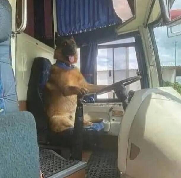 Всё вразнобой 