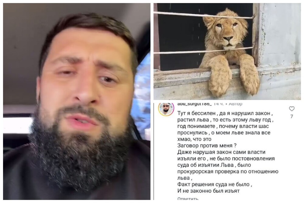 "Тут я бессилен": у сургутского блогера Магомедова с помощью ОМОН изъяли львёнка