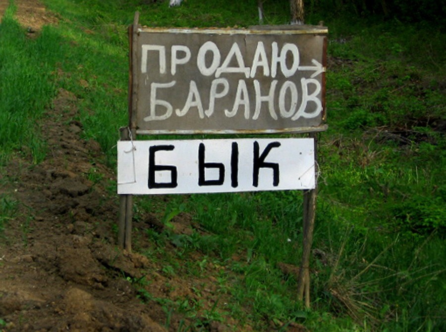 Подработка...от тот самый Петрович