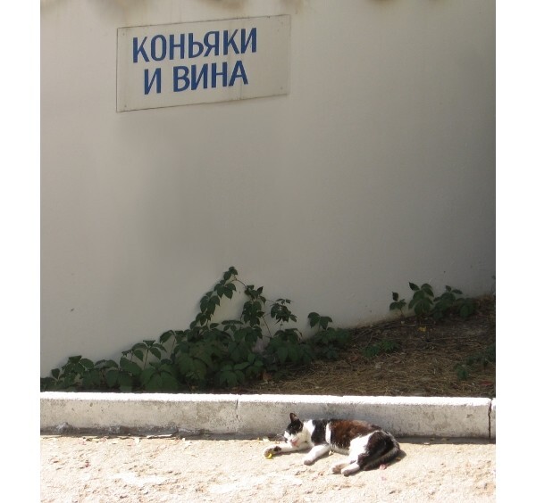 Нализался...от Плейшнельбойм