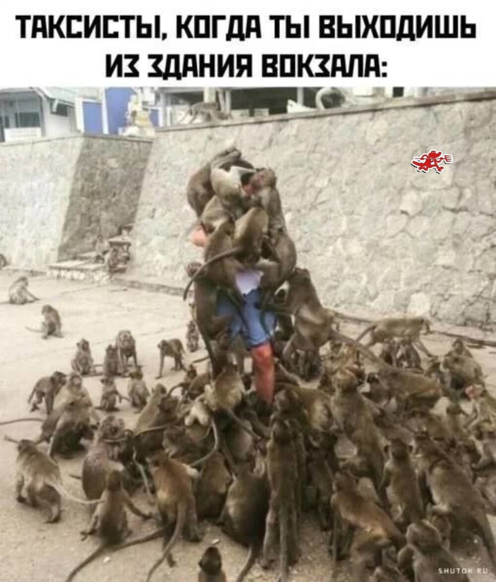 Смешные картинки