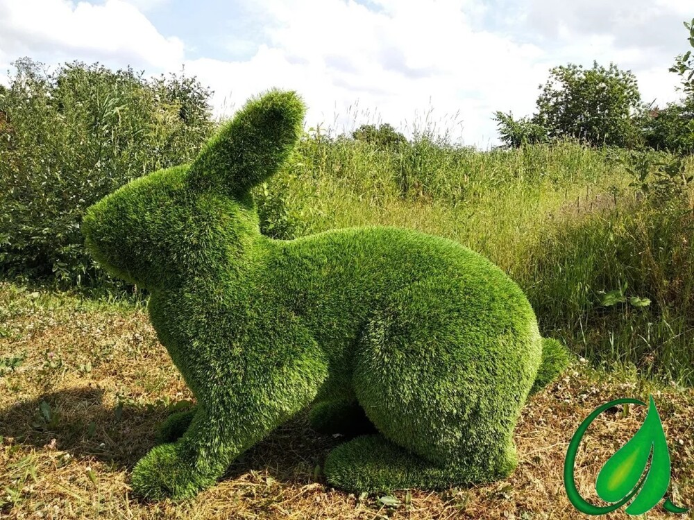 На общую тему 