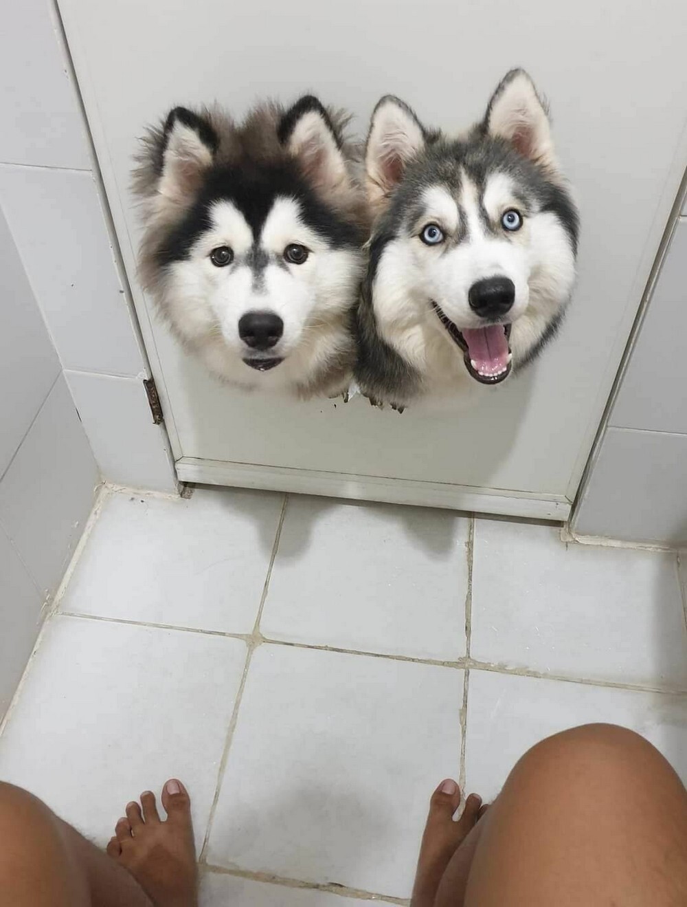 На общую тему 