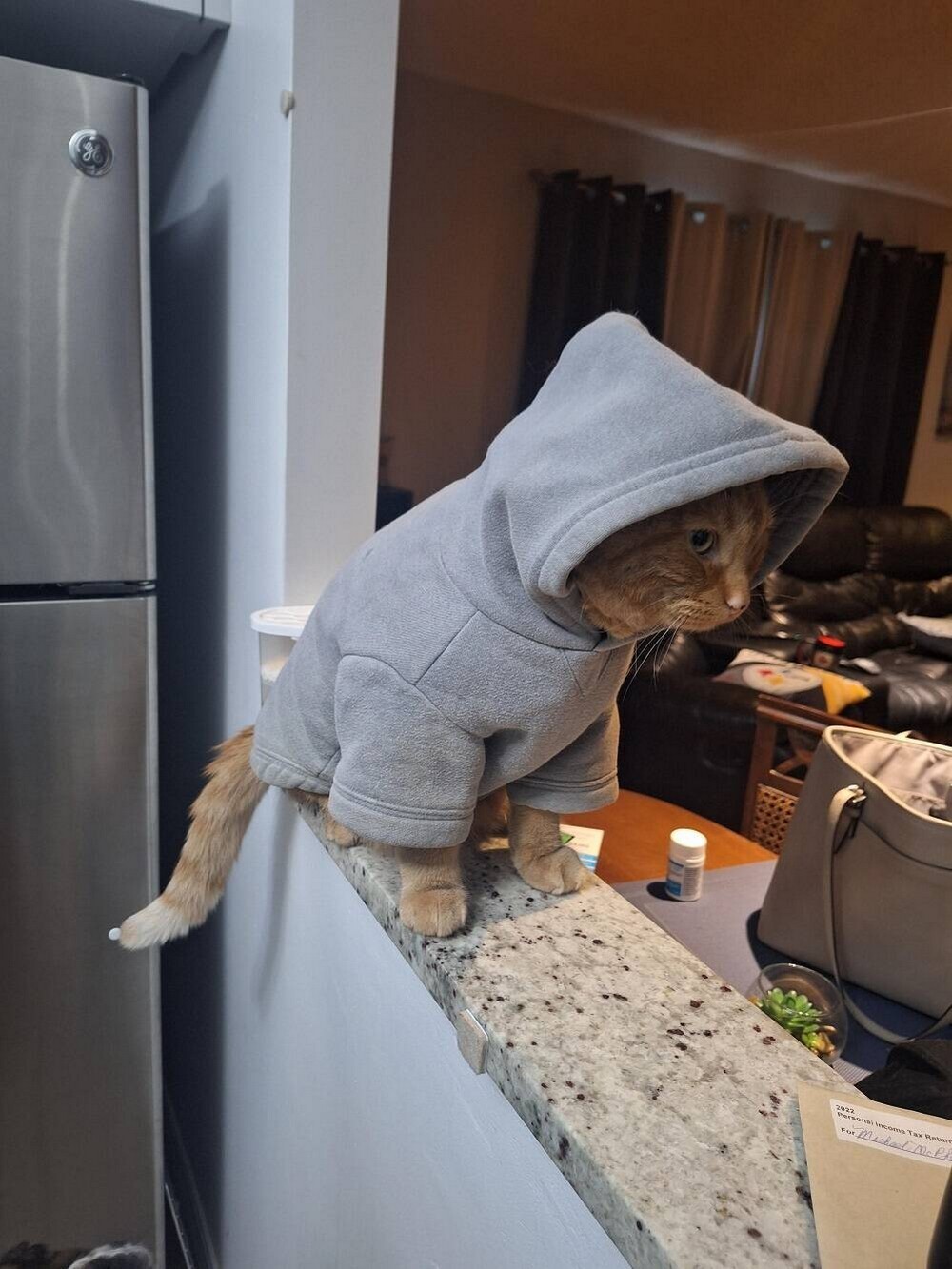 На общую тему 