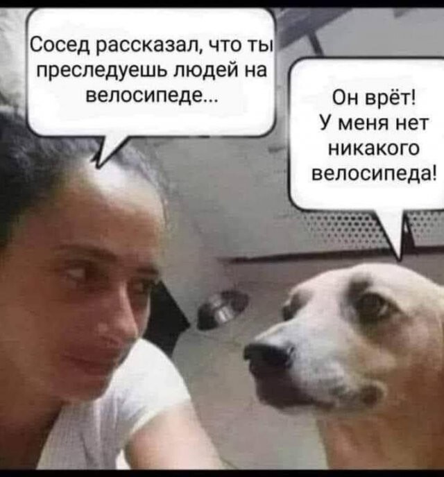 Скрины из соцсетей            