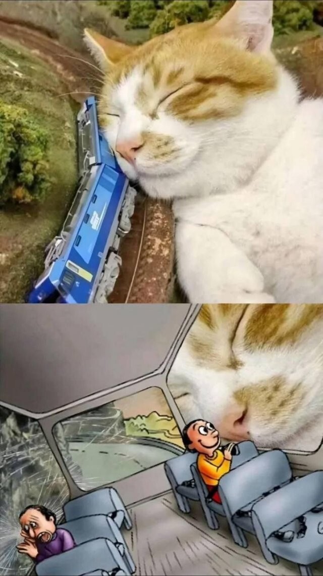 Скрины из соцсетей            