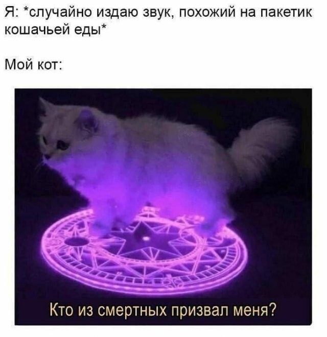 Скрины из соцсетей            