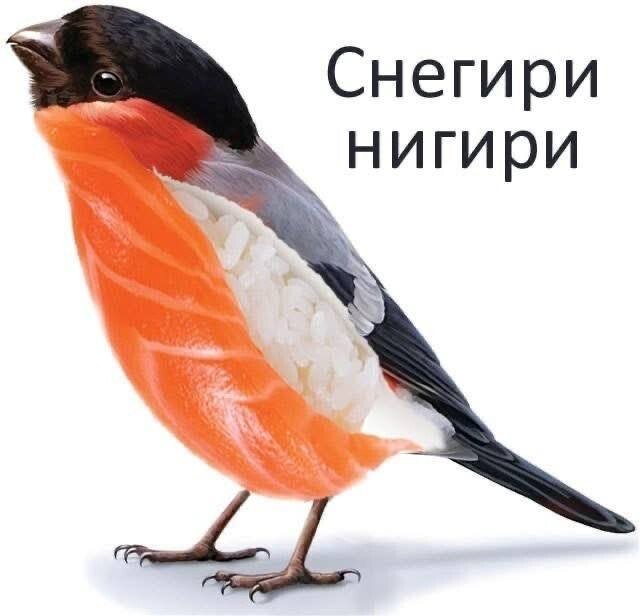 Скрины из соцсетей            