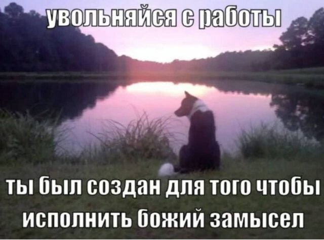 Скрины из соцсетей            