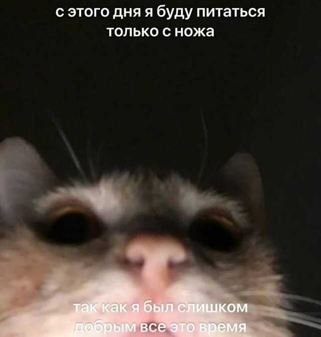 Скрины из соцсетей            